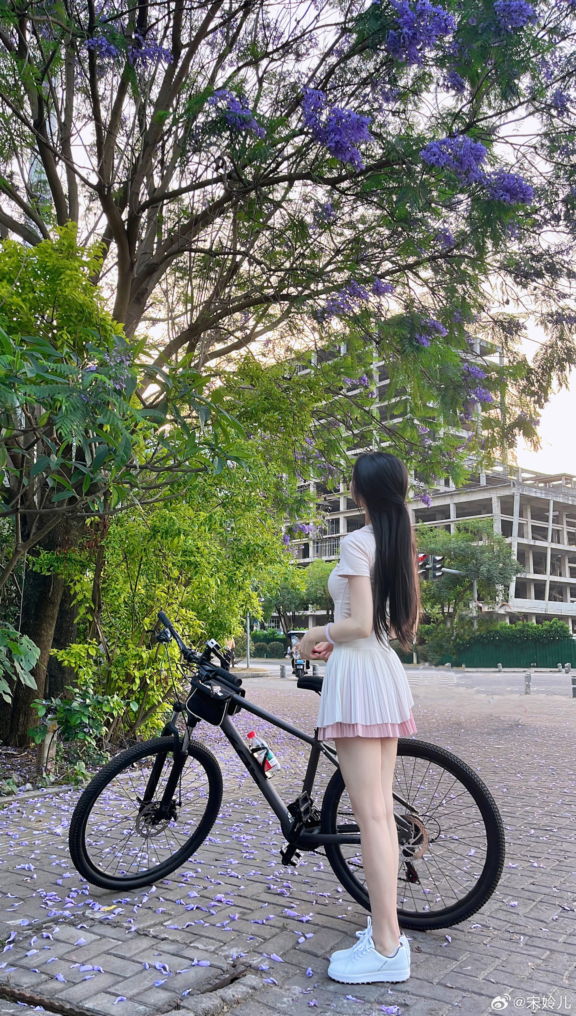 喜欢阳光树木，喜欢一切让我明媚的人事物。​​​
