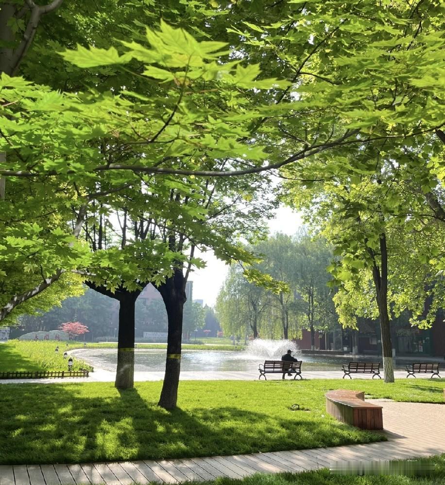 到了高中，你会发现：​高一成绩在500分左右的孩子，别急着在数理化上死磕。不
