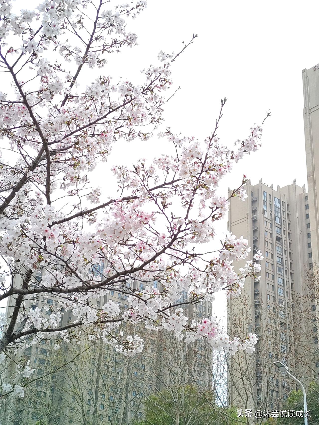 人间清醒与难得糊涂,哪个好?人老了，怎么做到大事清醒、小事糊涂？记住这4点，晚