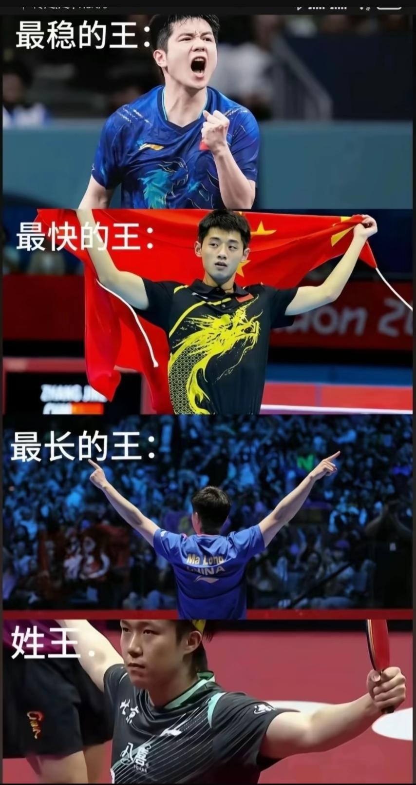国乒四大天王，最后一位堪称国乒的“王中王”，第一位，最长的王，马龙，15