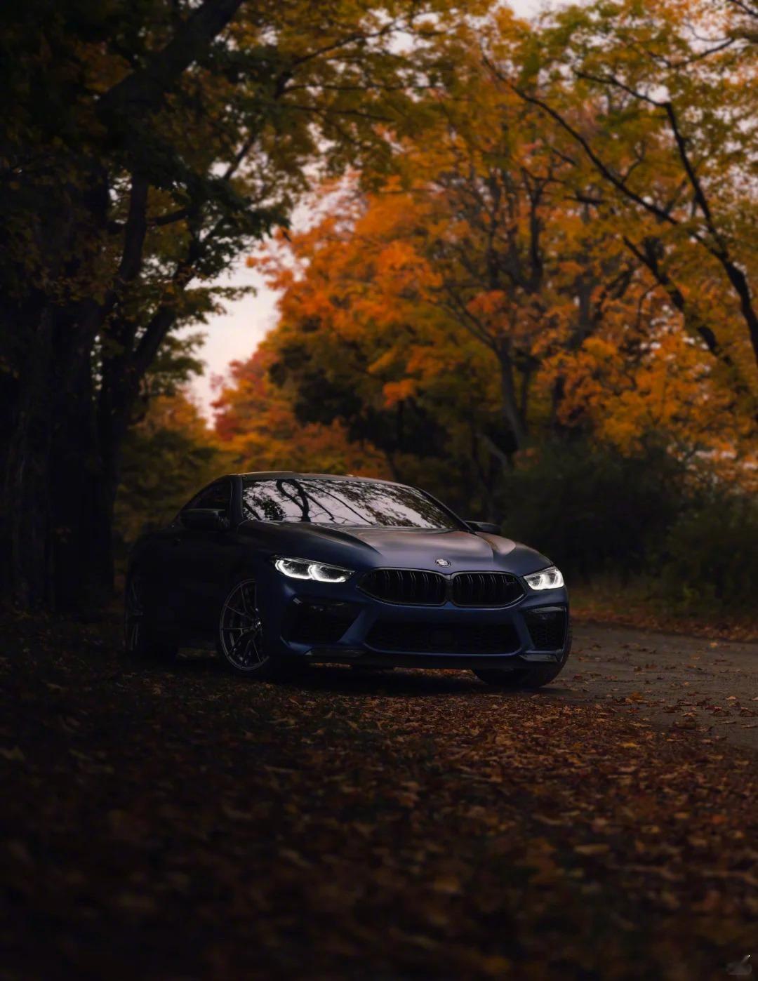 秋日、落叶和磨砂蓝的M8可太配了​​​