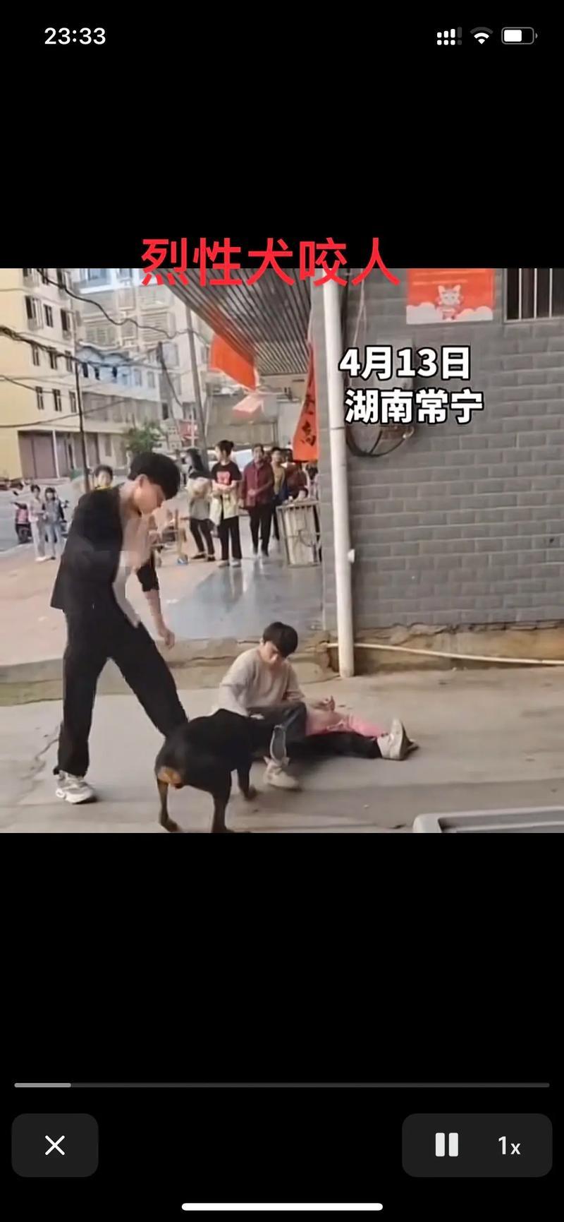 狗咬人事件，我认为由狗主人负责，严重追究刑事责任？对不？养狗者需管理好自已的爱犬