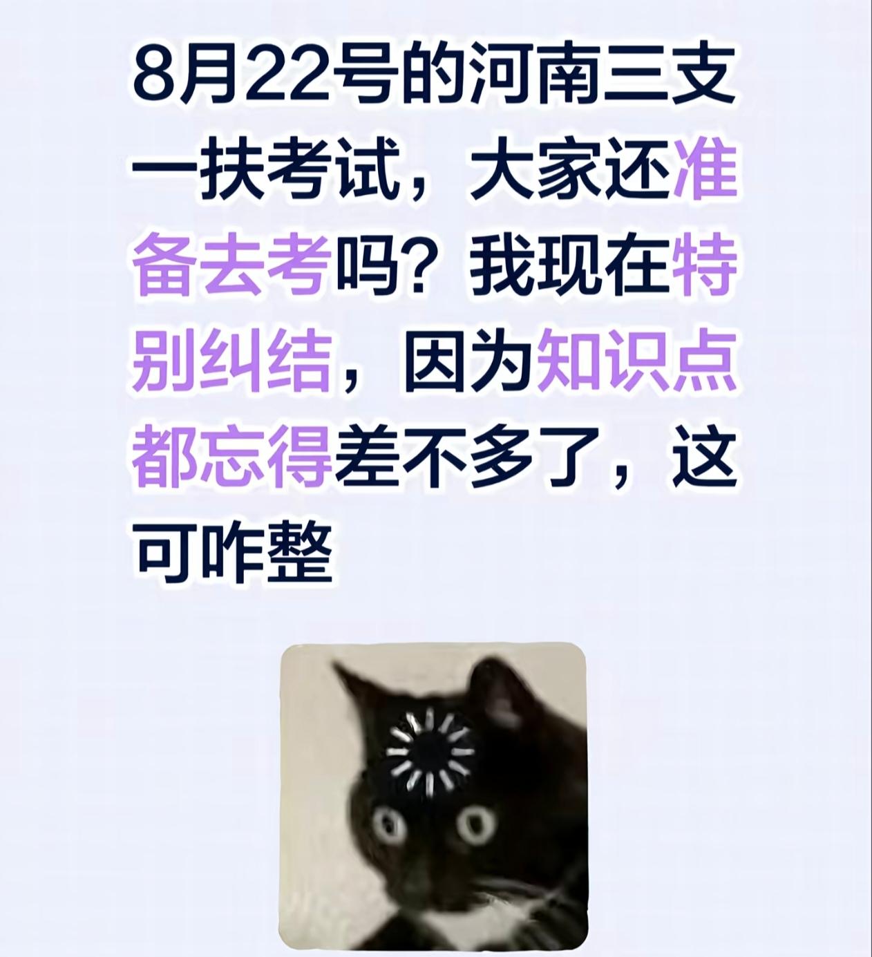 8月22号的河南三支一扶考试，大家还准备去考吗？侄女现在特别纠结，因为知识点都忘