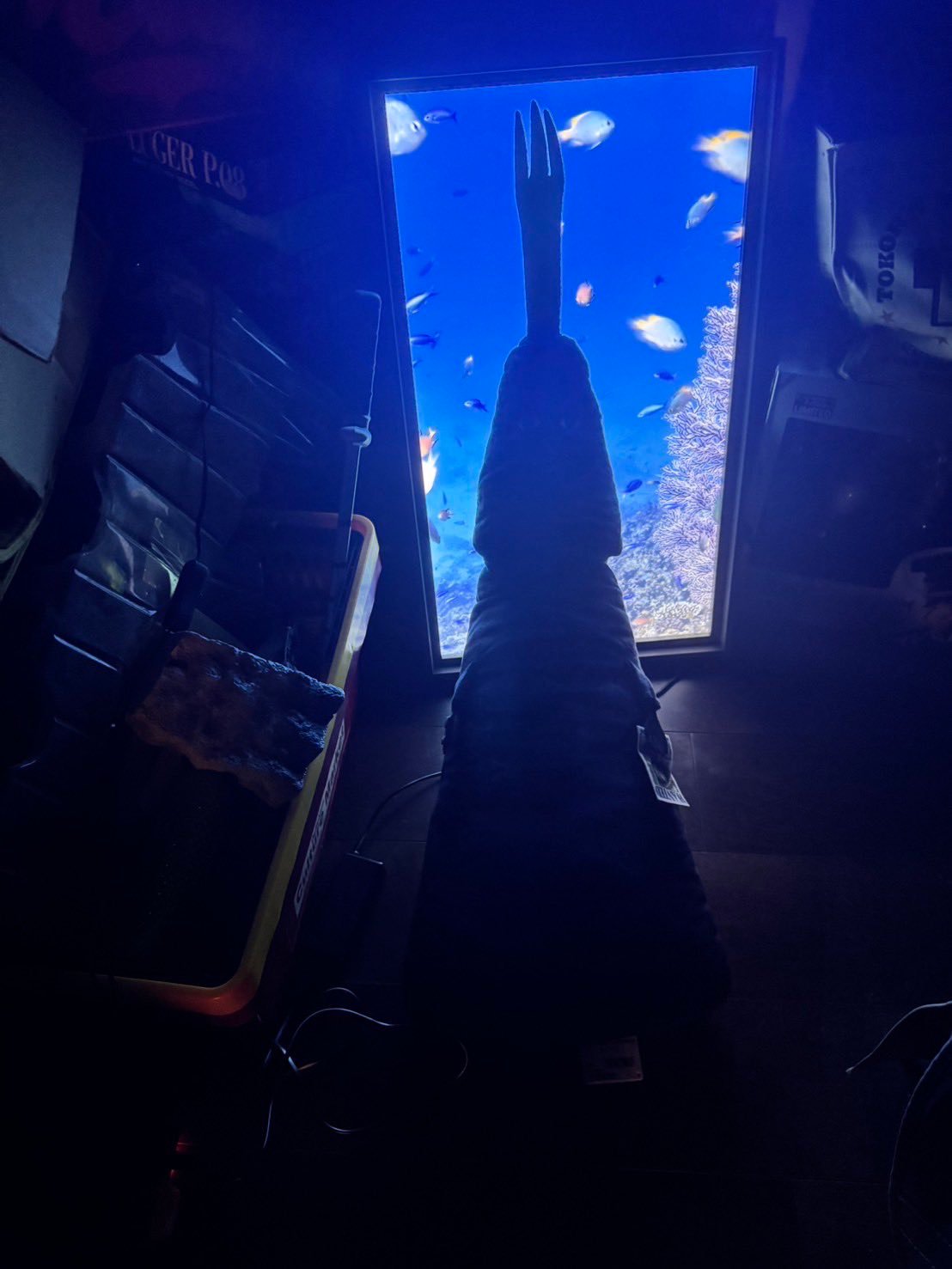 海贼王海贼王尾田工作室的工作人员都好喜欢伊姆玩偶啊哈哈哈哈，已经拍了六