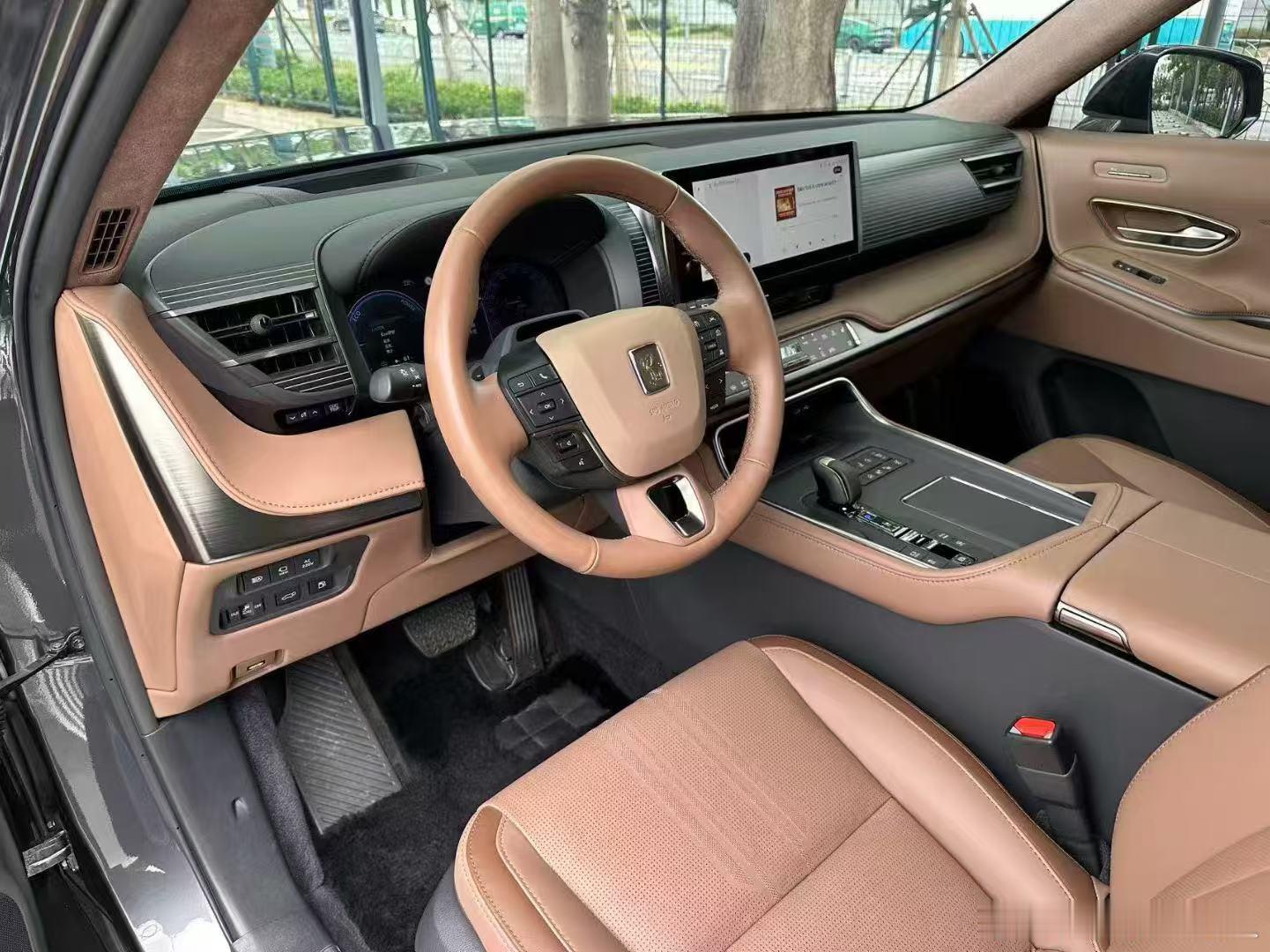 丰田世极，特殊配色与配置，大轮毂，带冰箱、24年6300公里