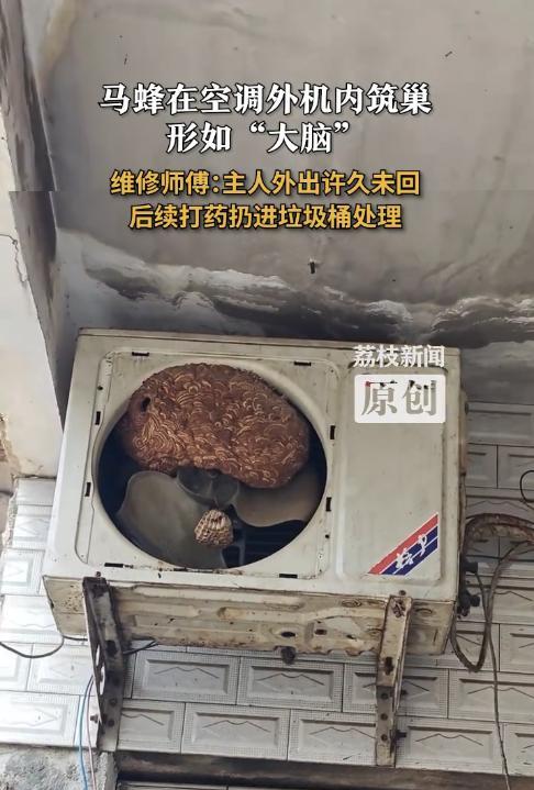 “太可怕了！”8月7日，河南信阳，一男子外出5年没回过家，到家后发现空调不好用了