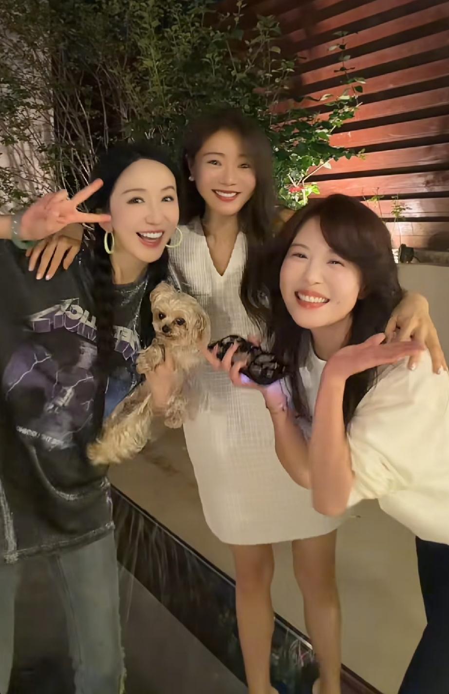 明眼人其实都能看得出来，李金铭发起聚会，从一开始就是有目的的，那就是单纯想秀