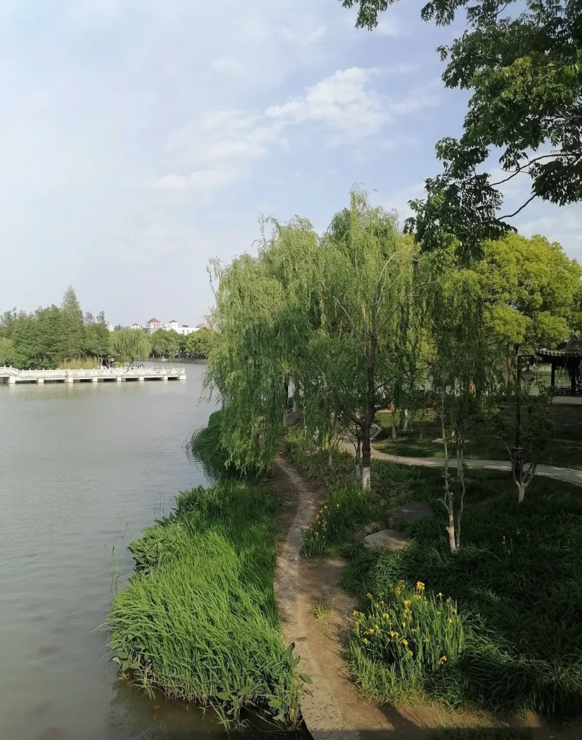 苏州大学，211大学，最好就业的三大专业，是电子信息，集成电路，电子科学，而不是