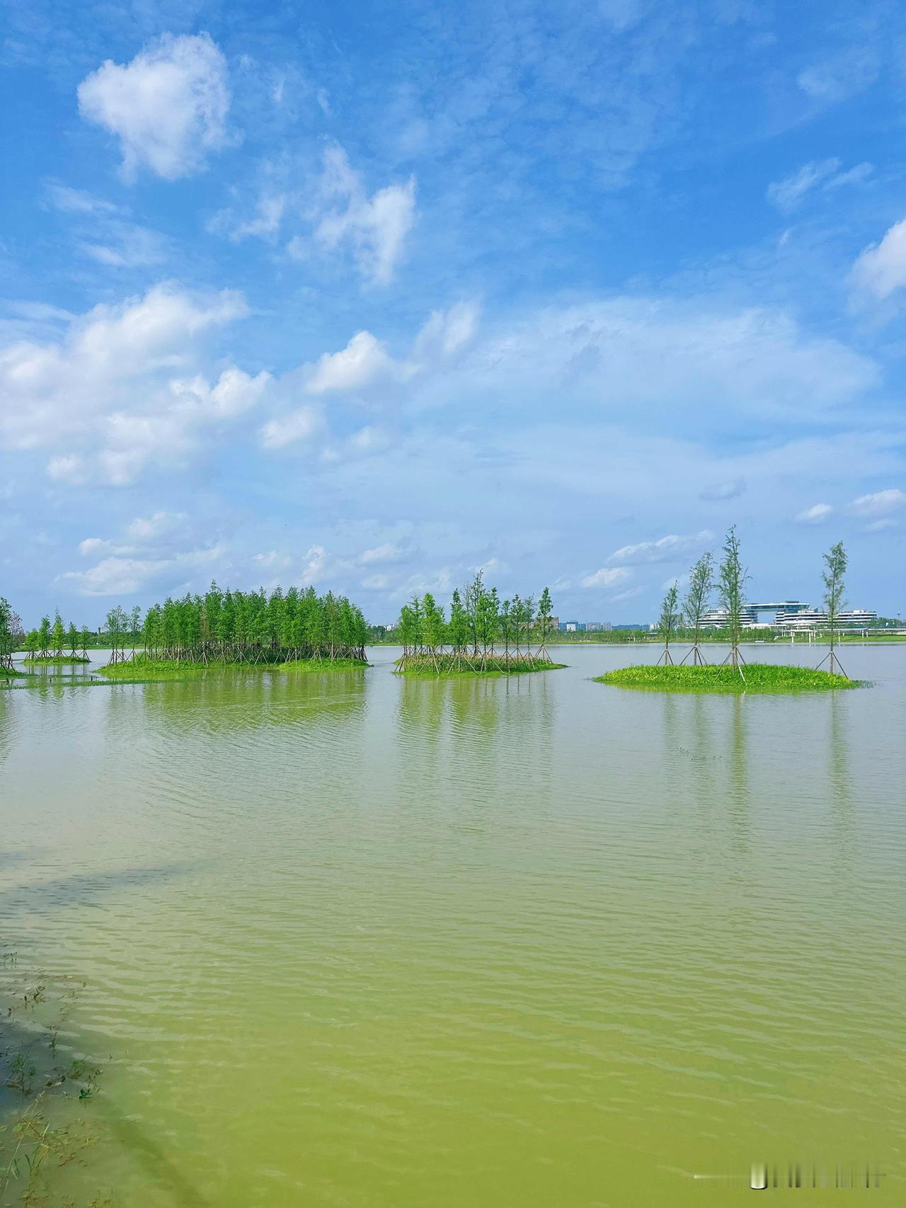 长沙大泽湖湿地公园，城市里的绿野仙踪🌳这里的自然风光简直绝绝子！🌊2841