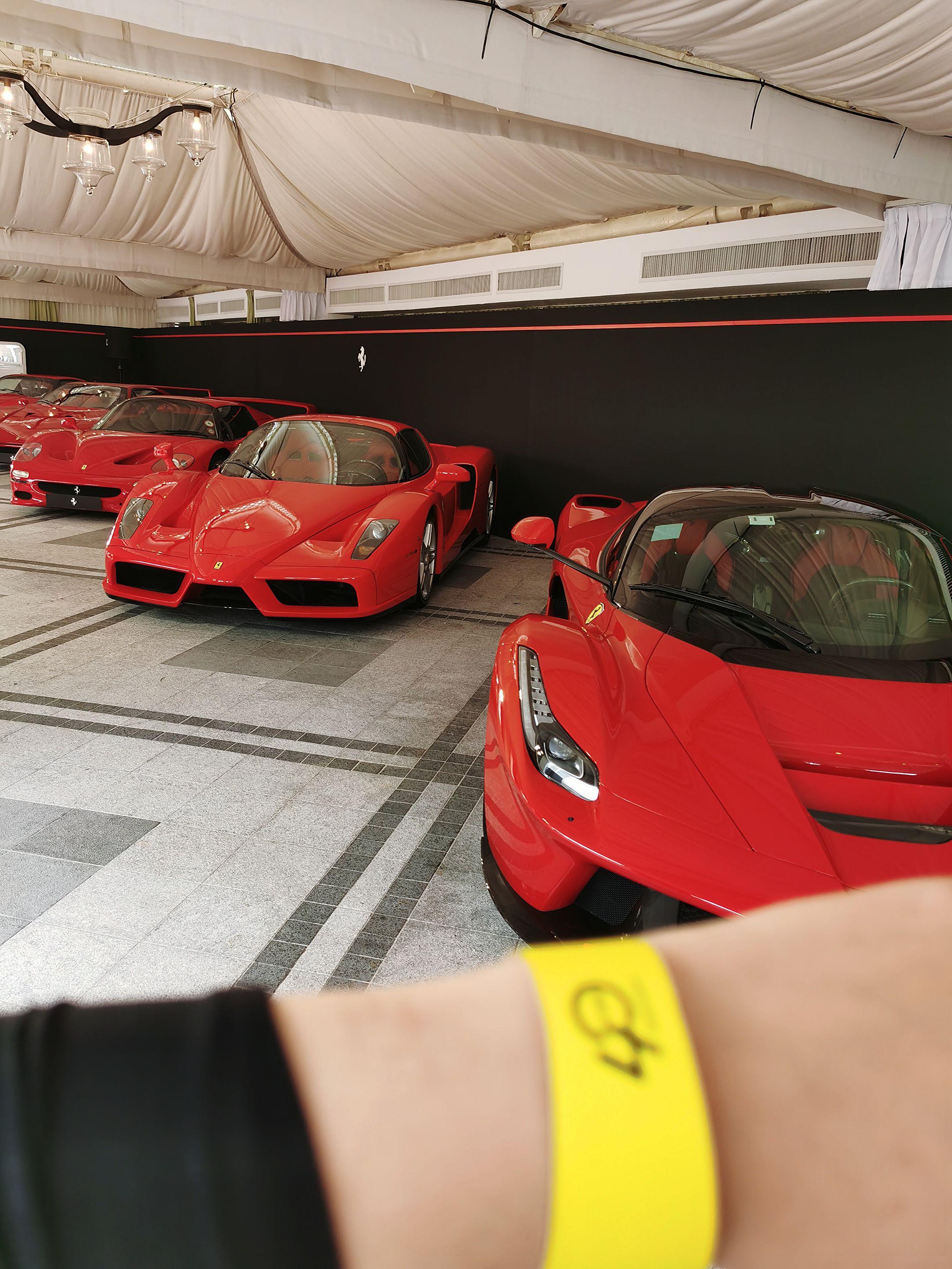 新年快乐 马到功成