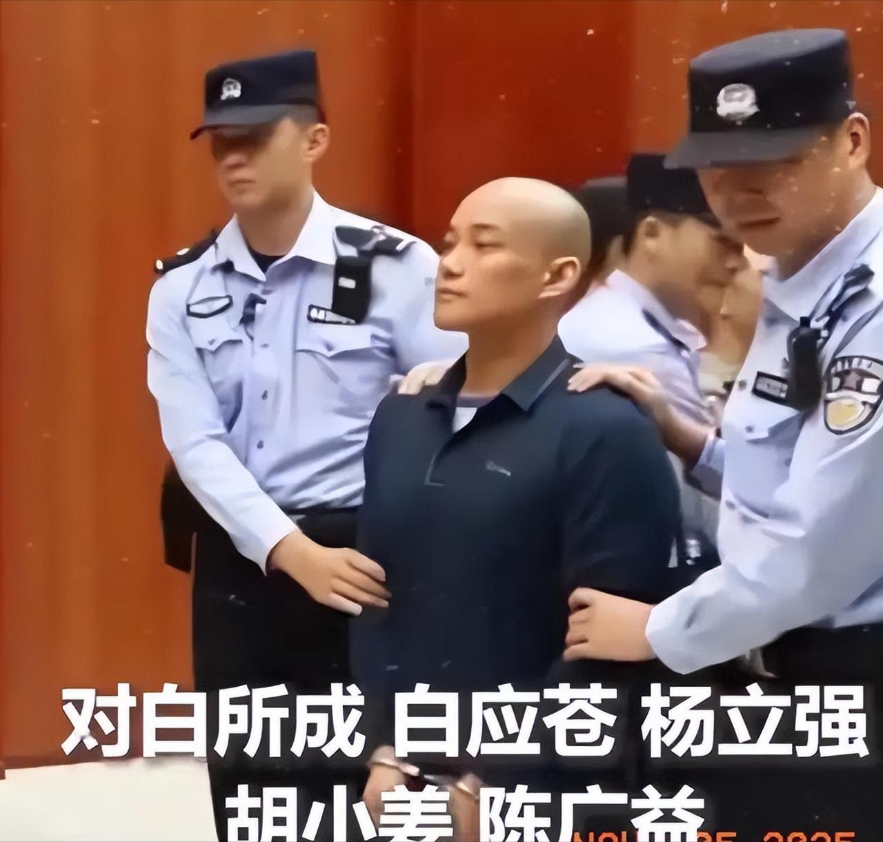 白应苍在今天被执行死刑判决！消息一出，真是大快人心！这个在缅北果敢一手遮天、