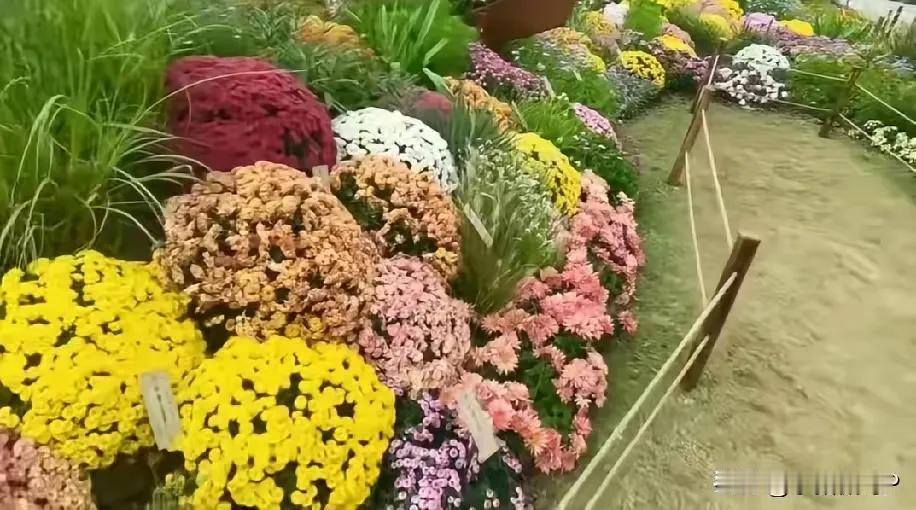 最近刷到个网友在网上吐槽，说家里四个女儿被村里人指指点点，过得挺憋屈。这让我想起