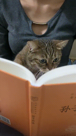 学学怎么俘获主人
