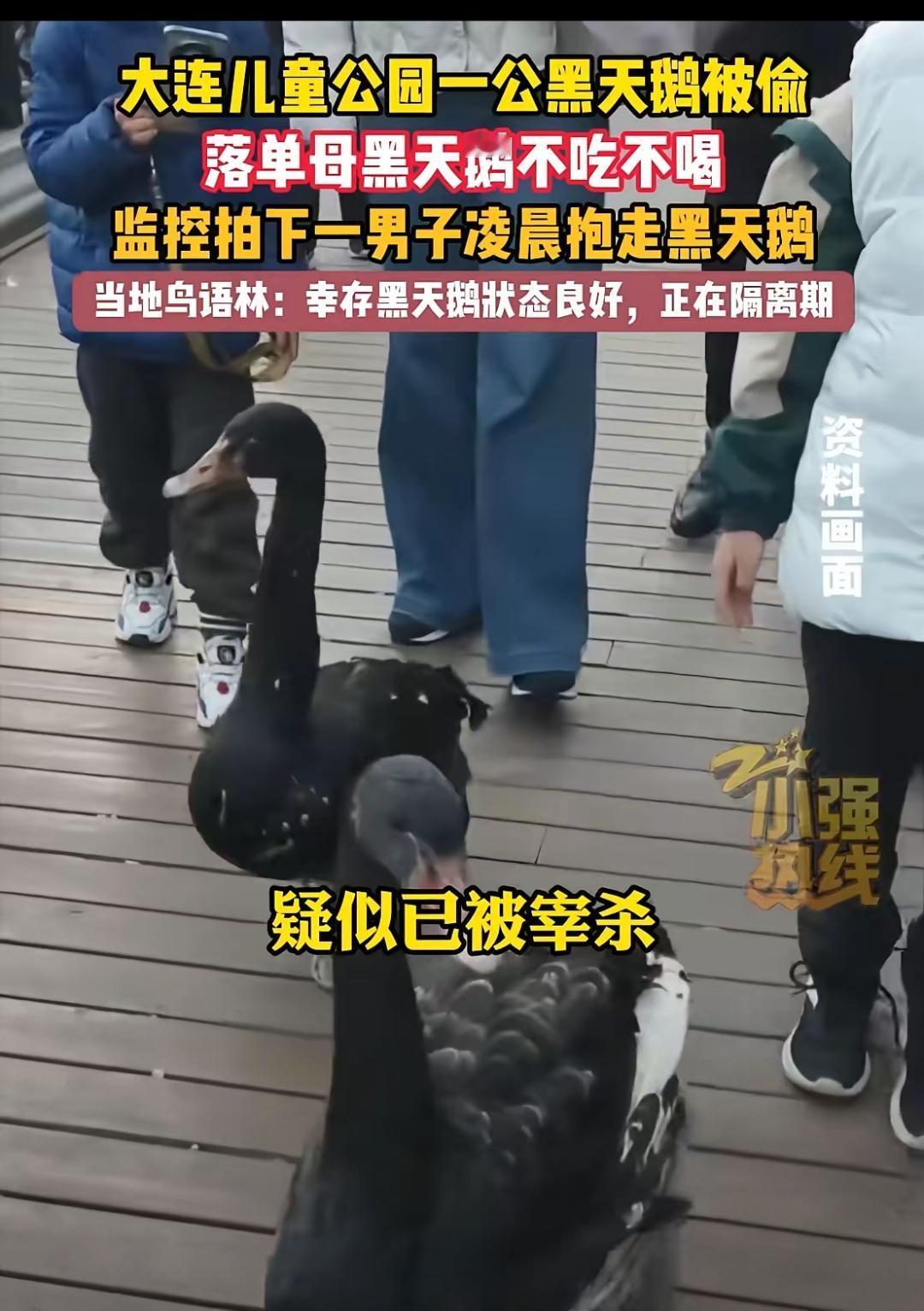 这偷天鹅吃肉的操作，简直是又蠢又坏！辽宁男子以为跨年夜没人盯梢，竟溜进大连儿童公