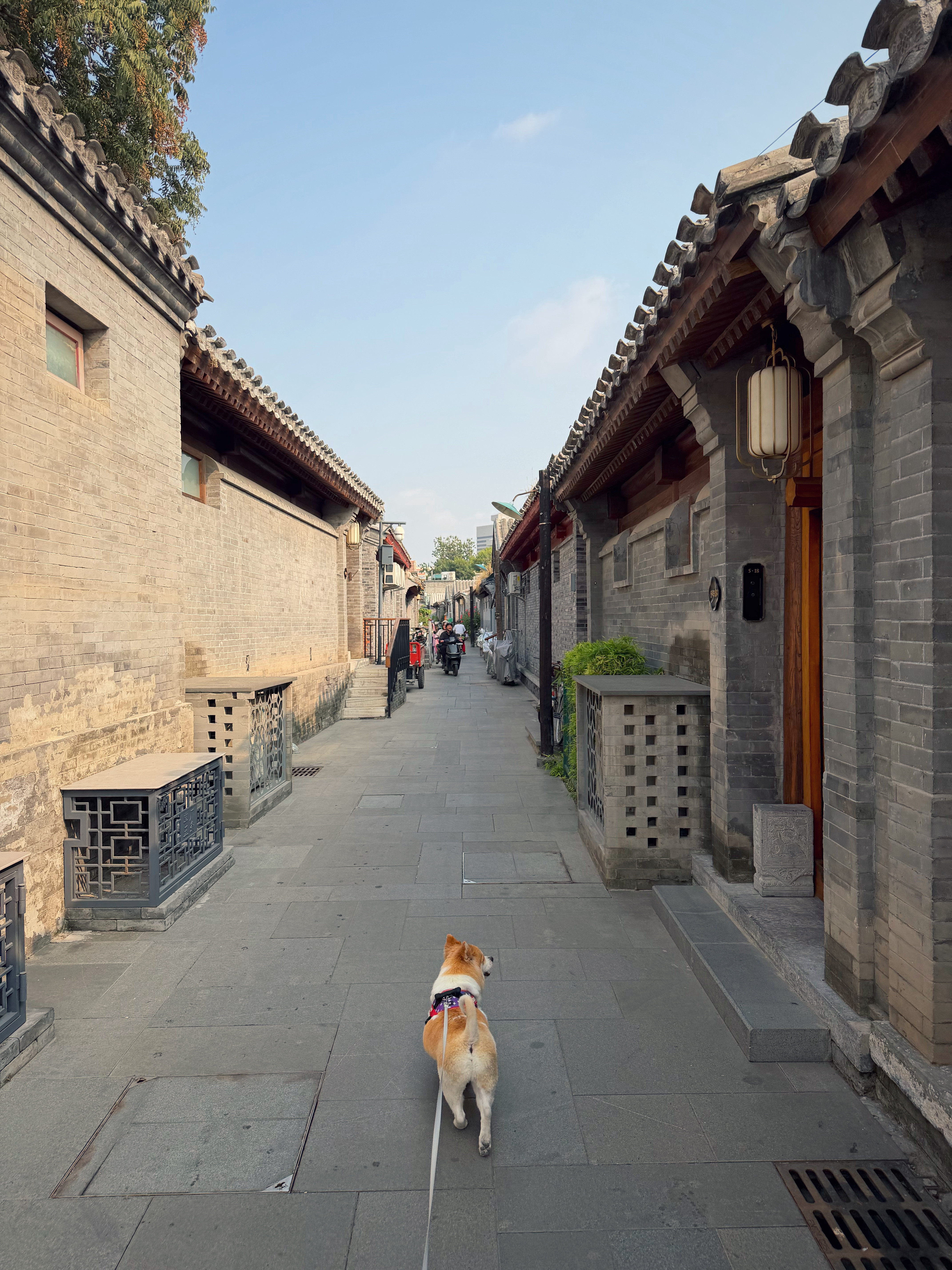 我们住在北京前门的胡同里，这应该是北京最贵的酒店了，死贵死贵的，仍然是依蔻庭承包