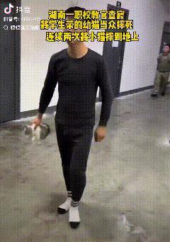 湖南，湘西为民职校，这名查寝的教官火了，为了立威，镇住学生，卯足劲摔死一只幼猫！