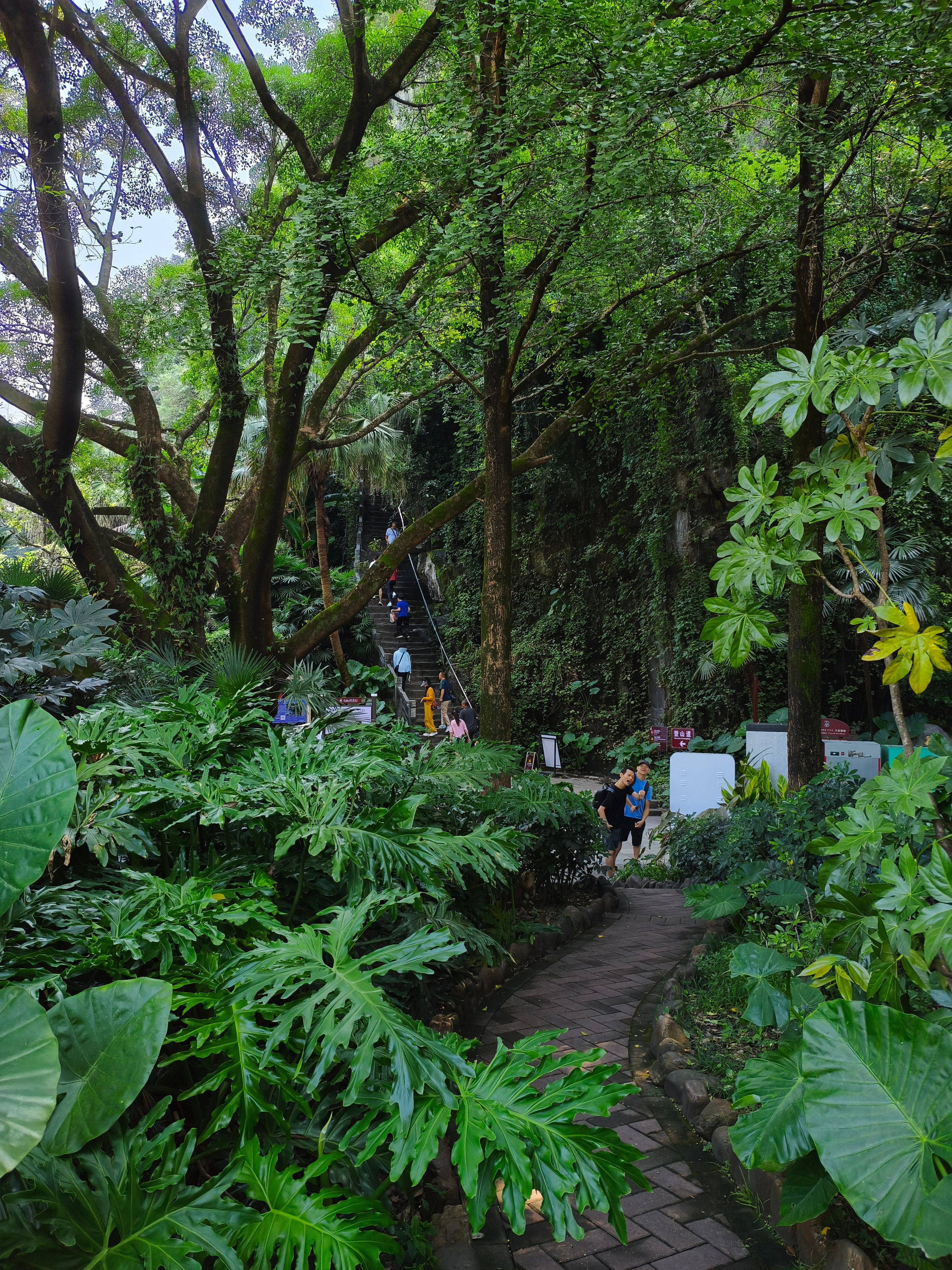 参观桂林的象鼻山景区和日月双塔。山水甲天下的美誉果然名不虚传呐。我还特意查了一下