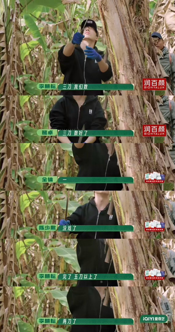 十个勤天十个刀郎十个勤天砍香蕉砍出了武侠片的气势，每人一把刀各砍各的，这画面我能