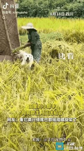 哈哈，加鸡腿，必须加鸡腿！