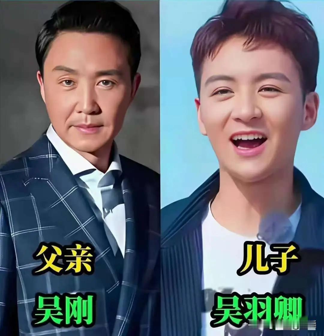 星二代基因大赏：老子英雄儿好汉？看这些明星娃咋继承爹妈的先看最“根正苗红”的