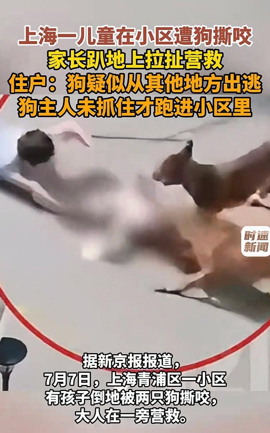 揪心。7月7日，上海青浦区，一幼童在小区内玩耍时，突遭两只未拴绳恶犬的攻击撕咬，