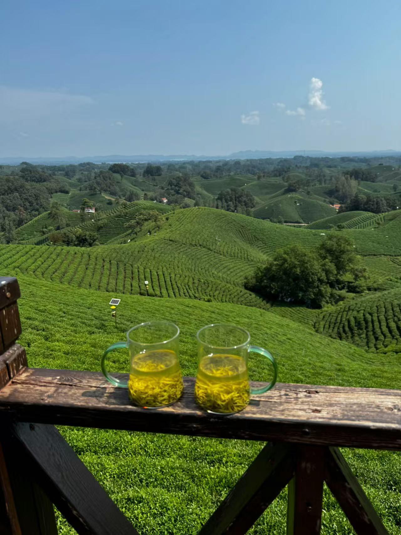 我真的挺佩服我一个同事的，她活得那叫一个通透。她有两个女儿，老公外面有人，经
