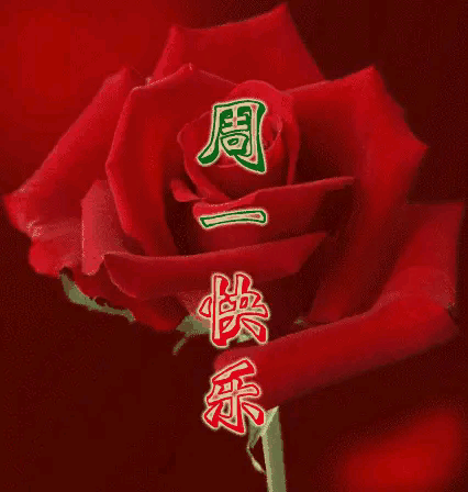 早上好！相处有您，我很珍惜。问候有您，我很快活。一路有您，温暖无比。愿有