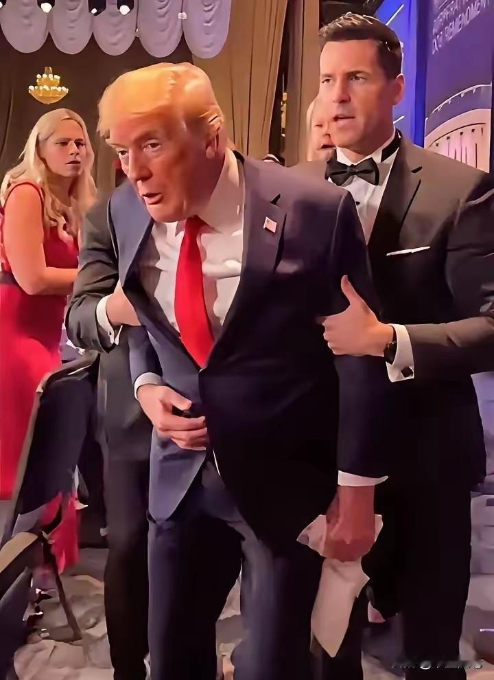 这好像是被绑架。这表情，绝了！给摄影师奖励一个大鸡腿！