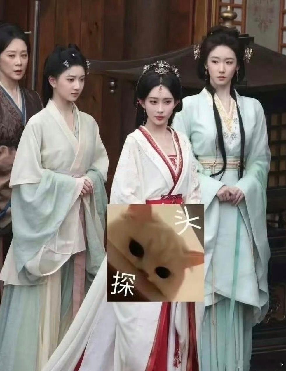不是吧，这是景⁠甜？她⁠⁠现在资源降级⁠⁠这么严重，‎﻿居然要给孟子⁠义做配了？