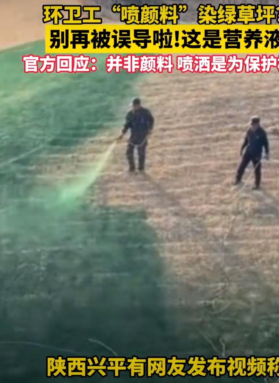 陕西草坪“喷绿”引众怒：是养护创新还是面子工程？真相藏在细节里12月10日