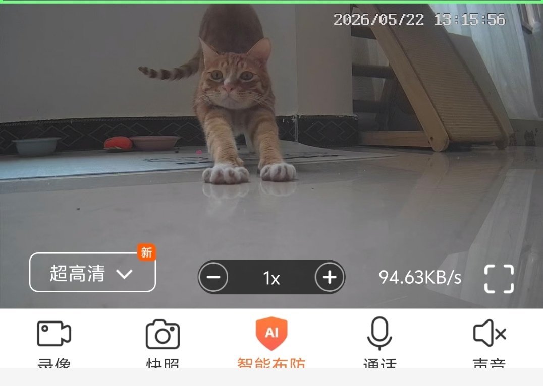 打开监控萌我一大跳