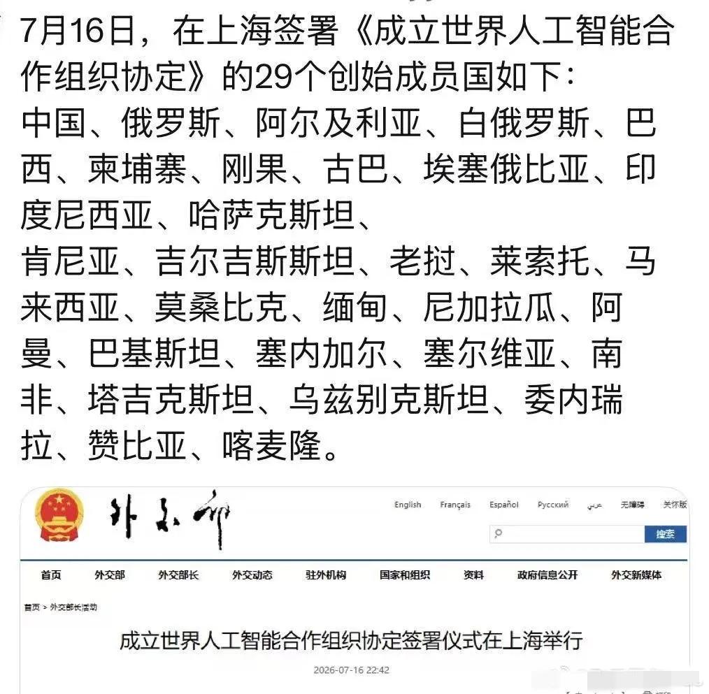 这几天，很多反贼都在嘲笑刚成立的世界人工智能合作组织（WAICO），他们的理由是
