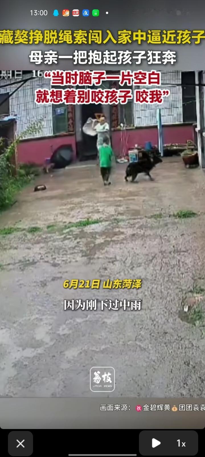 6月21日，山东菏泽。藏獒挣脱绳索闯入家中逼近孩子，母亲没穿鞋一把抱着孩子狂奔。