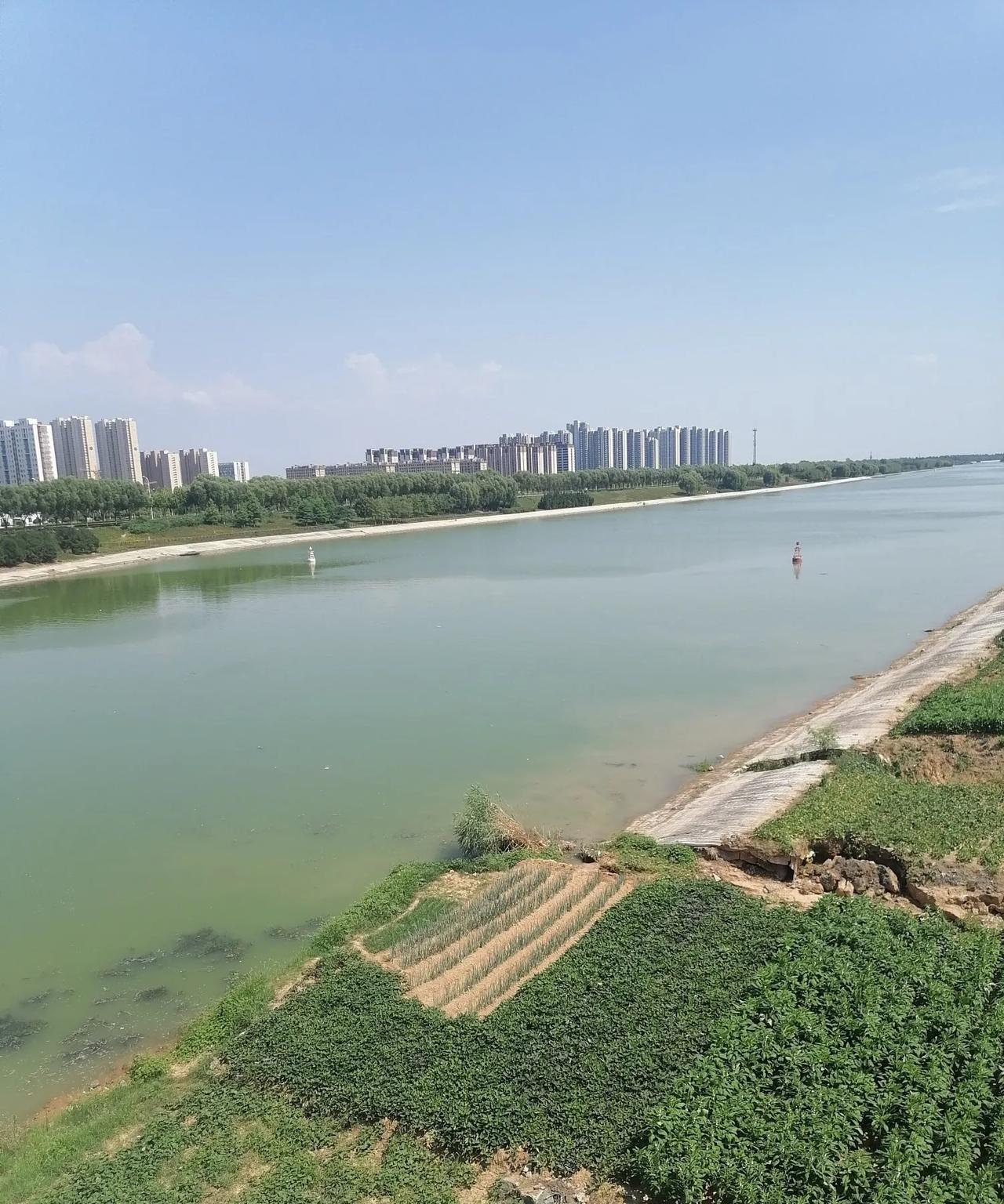 全国文明城市山东14个，其中地级市4个，分别是：德州、聊城、滨州、菏泽。