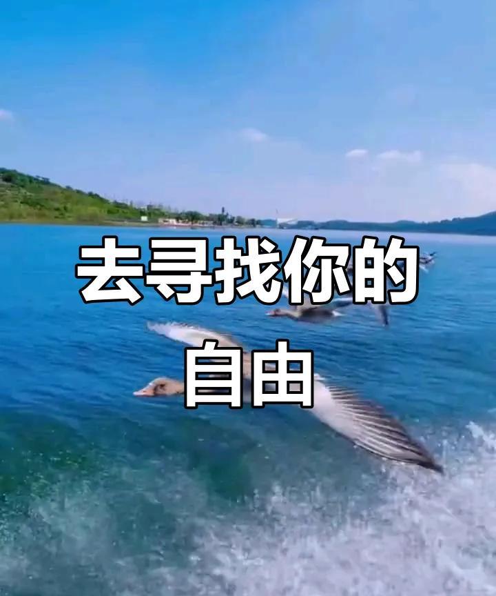 从古至今，为何大多数人都难以改变如牛马般的命运呢？其原因听起来繁杂，实际上却相当