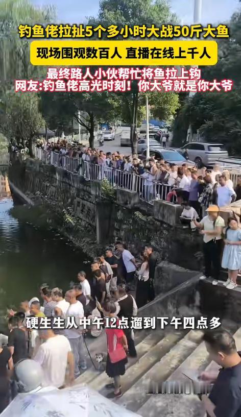 “太罕见了！”贵州遵义一位大爷钓鱼时意外碰上一条70多斤的大鱼。由于鱼线较细，他