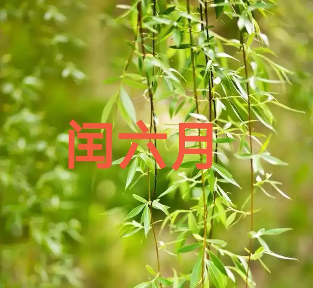 今天是公历6月25日，农历六月初一。今年有闰六月。所以农历六月过后就是农历闰六
