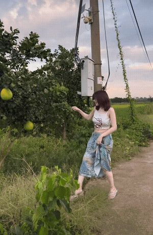 自己家有柚子，干嘛还要去摘别人家的呢[捂脸哭][捂脸哭][捂脸哭]