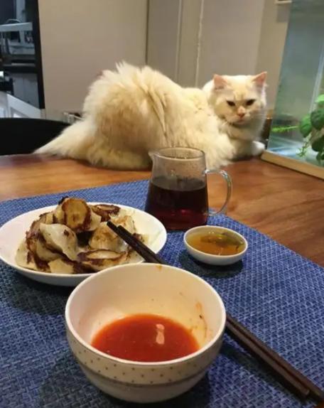 一句道尽世情真相的话：“极致的节俭背后，往往不是贫穷，而是一种深刻的