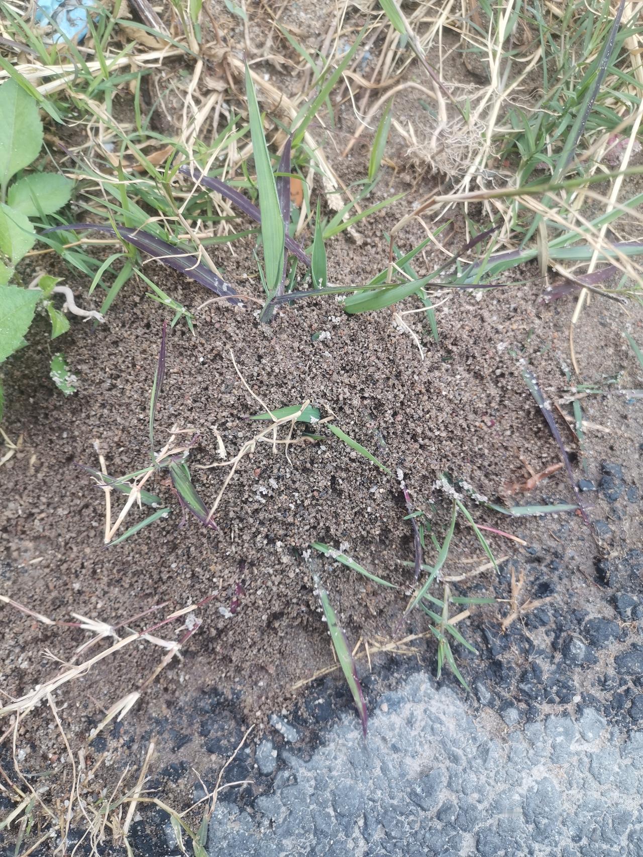 吃了很多名贵的中药，冬虫夏草，肉苁蓉之类，真的补肾了吗？只不过吃的时候，有点感觉