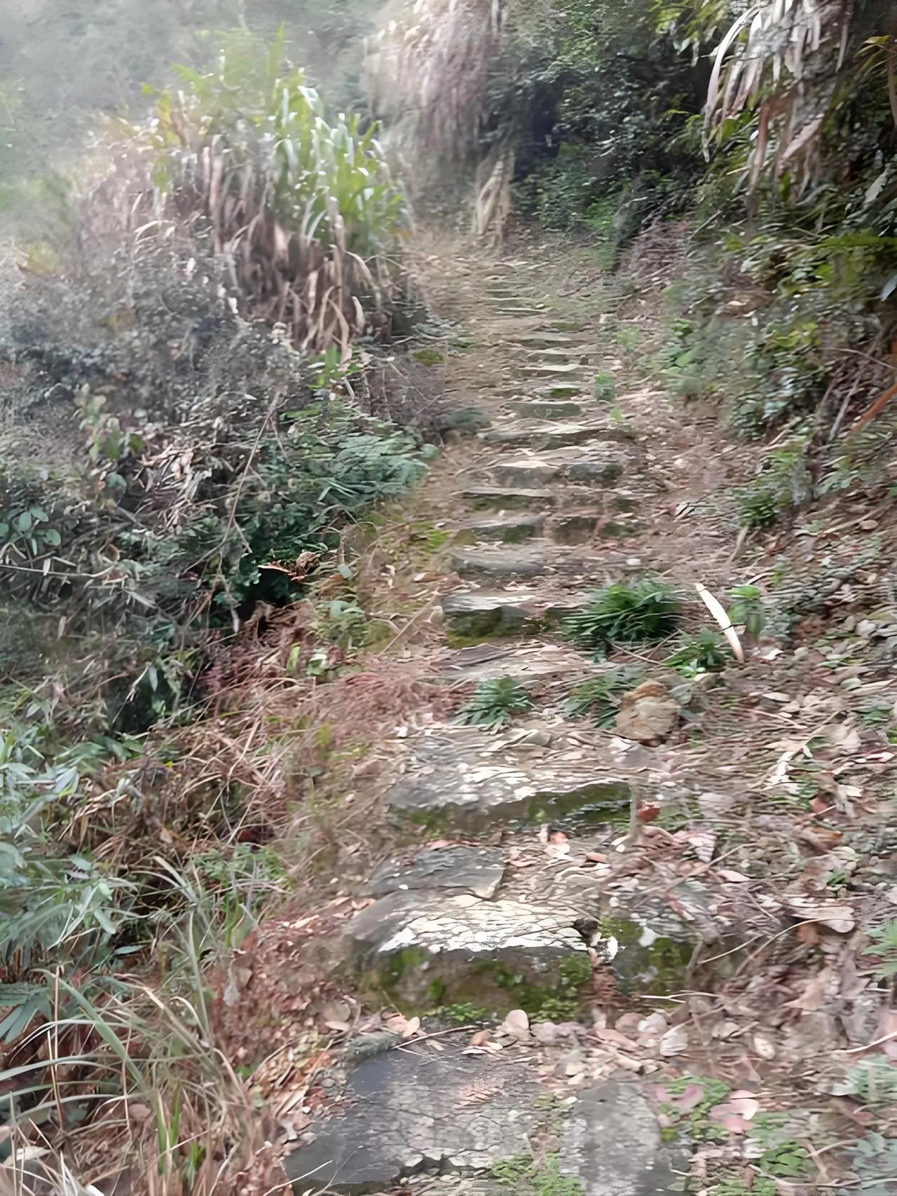 怀念以前，不是怀念以前的“穷”，是怀念青春的年华，是怀念自己走过的路程，是怀念那