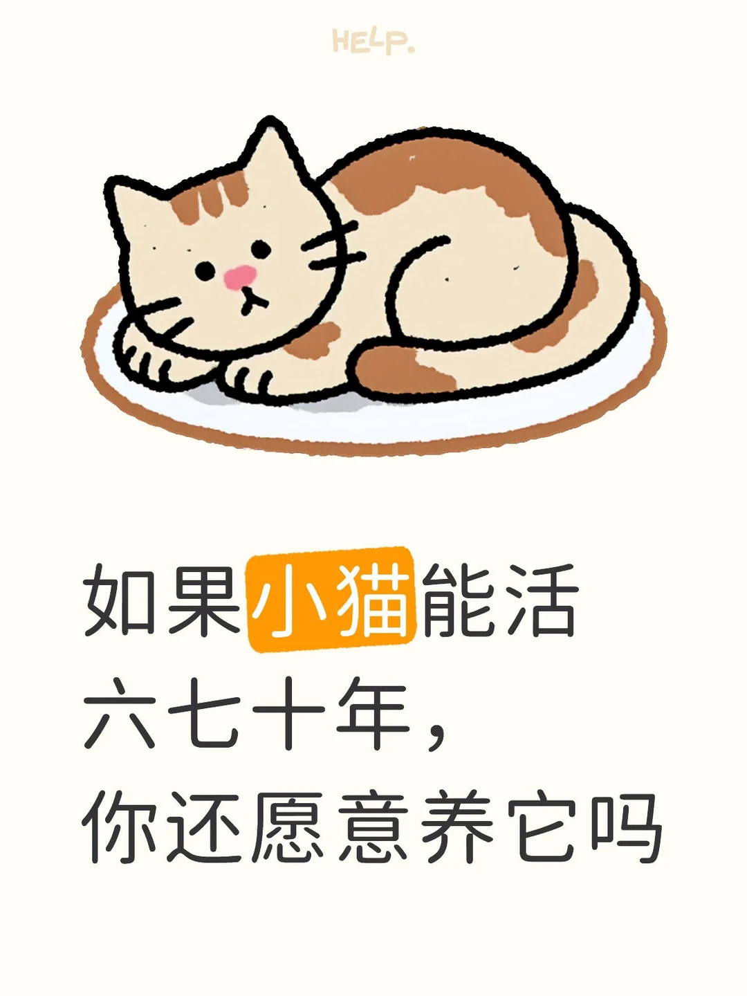 如果小猫能活六七十年，你还愿意养它吗