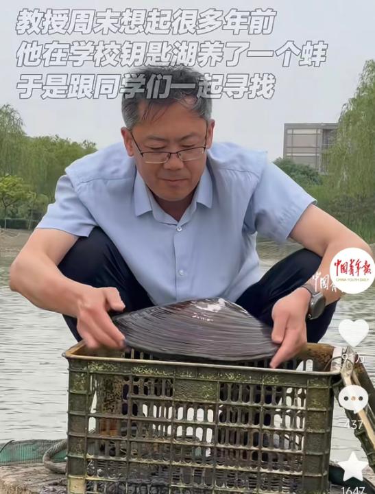 天天津师范大学闫春财教授周末忽然想起，早年曾在校内钥匙湖放养河蚌，便带着学生前去