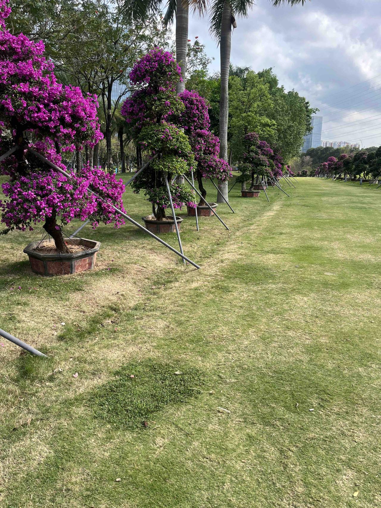 从心理学上看，如果一个人独处时觉得很舒服，那他一定是强大的，因为只有能量高的人才