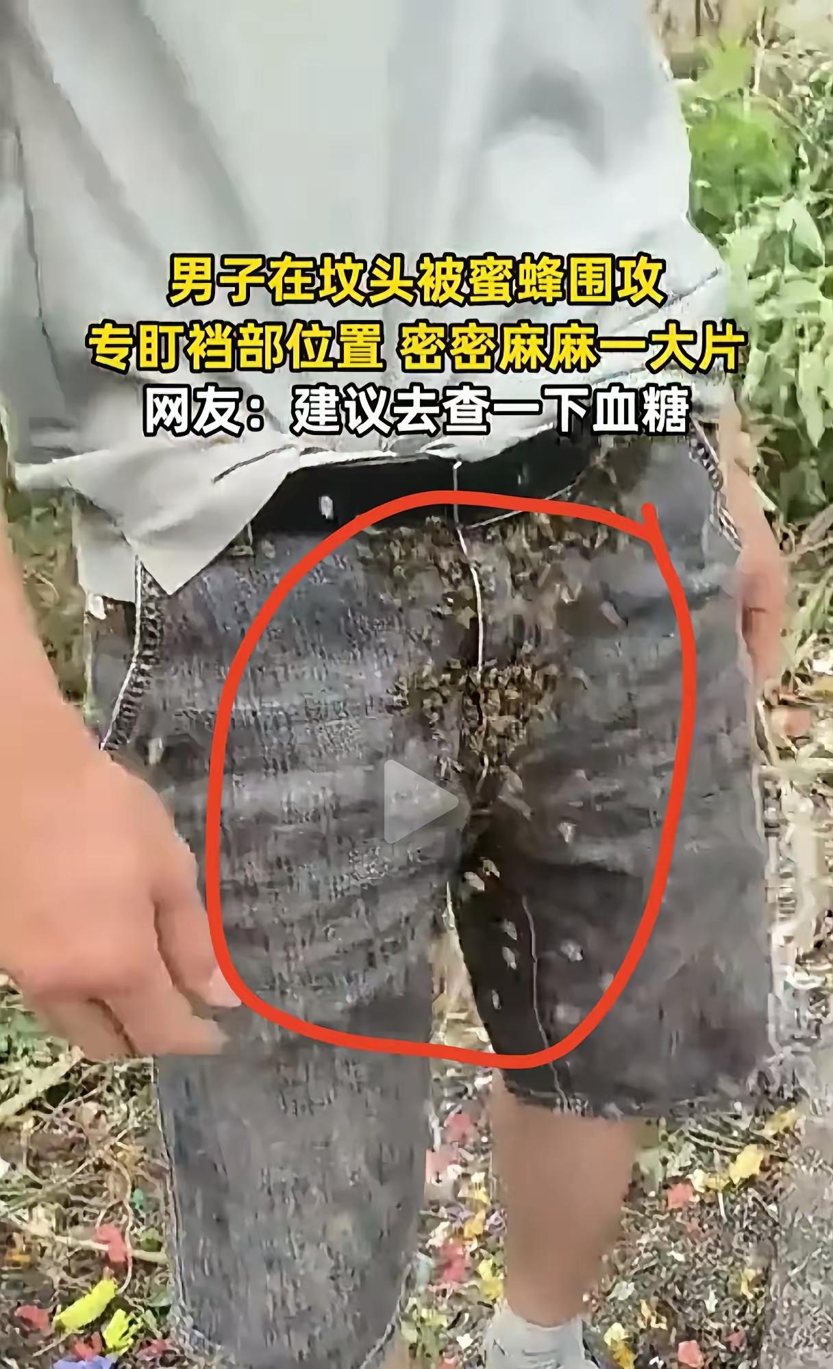 清明上坟，一男子竟被一群蜜蜂追着围攻裆部，他一头雾水，完全想不通缘由，便把这事发