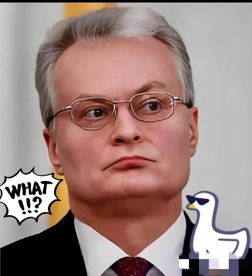 撑不下去就想“甩锅”？立陶宛这波“认错”根本没诚意！当初为抱美欧大腿，无