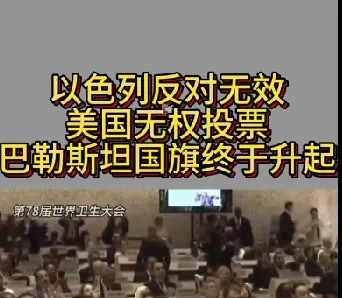 巴勒斯坦进世卫美国阿根廷没投票权以色列反对也没用震惊