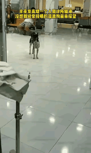 太有缘了，山东一女子半夜突然发高烧，一个人去医院打吊瓶的时候，来看她的竟然是喂了