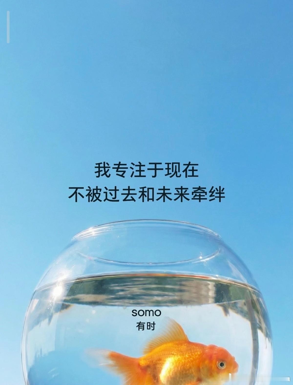 【天王星逆行】2026年9月11日天王星全程在双子座逆行，一直到2027年2月8