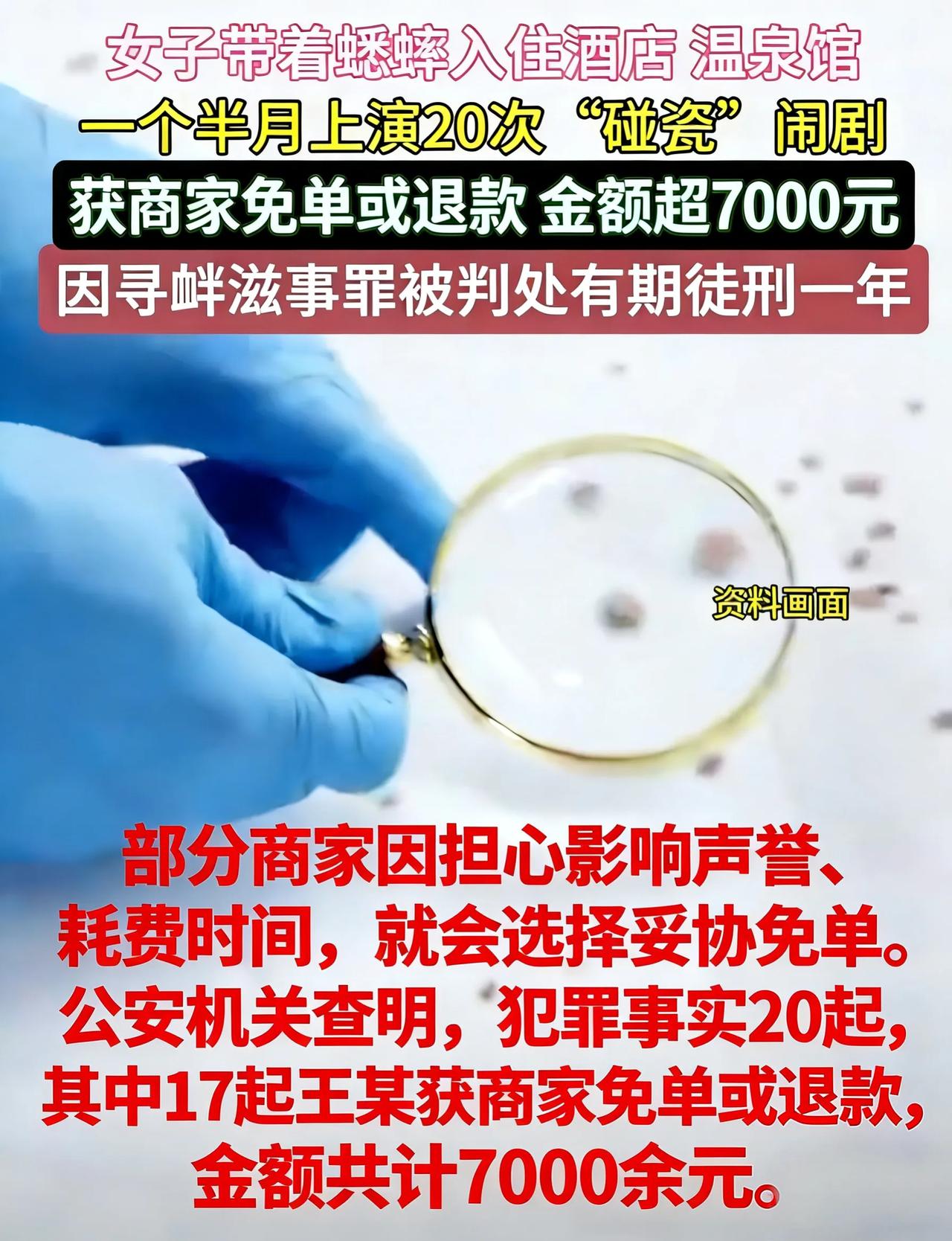 女子白嫖七千多！带蟋蟀专业碰瓷，亲手把自己送进监狱真的是林子大了，什么鸟都有